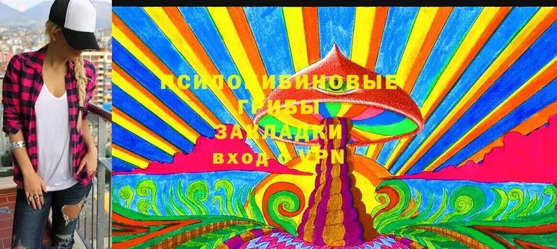 Галлюциногенные грибы Cubensis  закладка  Горнозаводск 